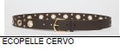 Design Belt